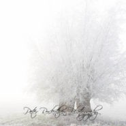 Geschenkgutschein Fotoschulung für Fotografen, Anfänger Fotoamateure