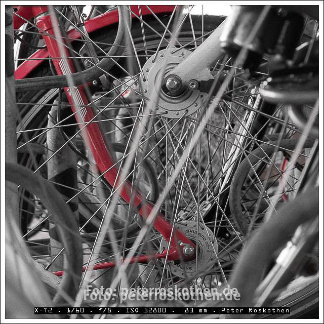 Fahrräder am Bahnhof – Foto des Tages – Peter Roskothen
