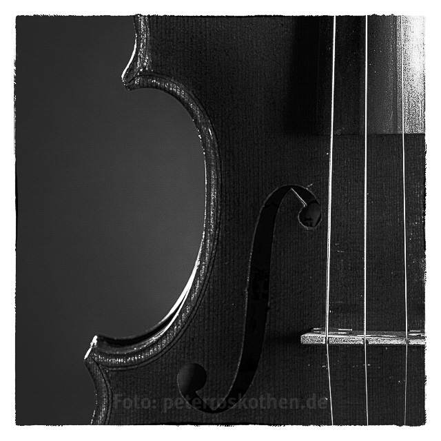 Die Geige 