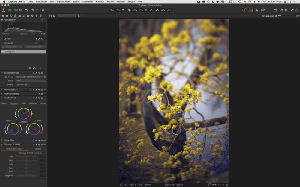 Fotografen können Farben in Capture One Pro besonders gut bearbeiten - Individueller Capture One Fotokurs Online oder Präsenz