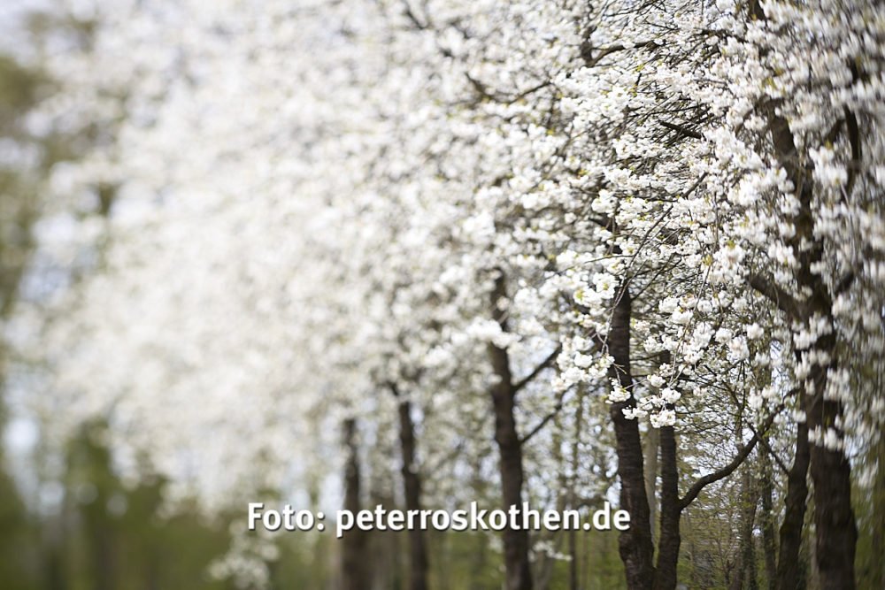 Fotokurs Capture One Bildbearbeitung